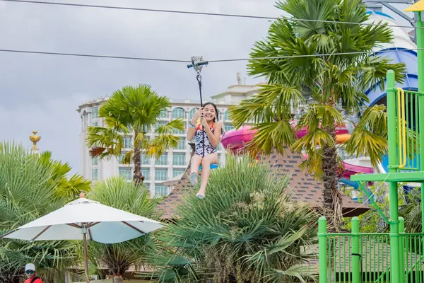 zipline10